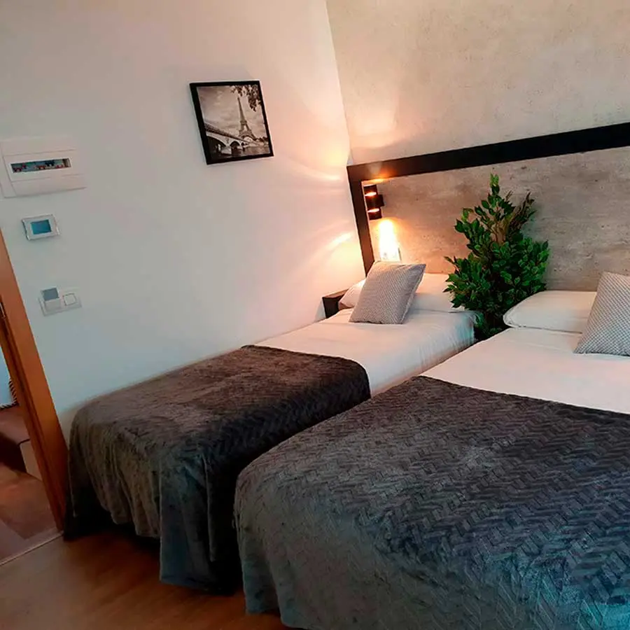 Habitación 301: dos camas individuales con colchas grises y una planta junto al cabecero